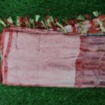 Fancy Cotton Saree