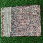Fancy Cotton Saree