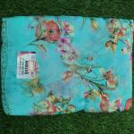 Women Silk Cotton Saree for Rich Traditional Fashion with Smooth Finish