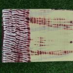 Women Trendy Floral Cotton Saree with Artistic Daily Beauty