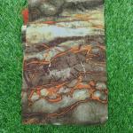 Women Trendy Cotton Fashion Saree with Smooth Soft Texture