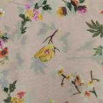 Women Decorative Printed Saree with Graceful Modern Comfort