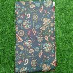 Women Artistic Fancy Saree with Elegant Border Appeal