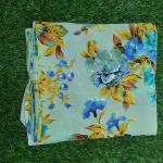 Women Artistic Fashion Saree with Contemporary Soft Appeal