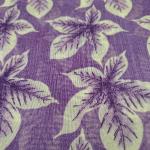 Women Premium Printed Saree with Stylish Everyday Feel