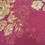 Women Stylish Cotton Saree with Beautiful Daily Wear Look
