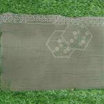 Women Comfortable Casual Saree with Elegant Print Styling