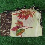 Women Fancy Cotton Saree for Festive Gatherings with Glam Border Style