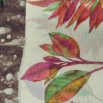 Women Fancy Cotton Saree for Festive Gatherings with Glam Border Style