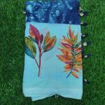 Women Silk Cotton Saree for Wedding Glamour with Timeless Beauty