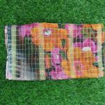Women Silk Cotton Saree for Traditional Elegance with Smooth Luxury Finish