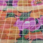 Women Silk Cotton Saree for Traditional Elegance with Smooth Luxury Finish