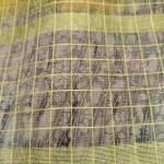Women Fancy Cotton Saree for Stylish Evenings with Glamorous Borders