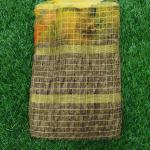 Women Fancy Cotton Saree for Stylish Evenings with Glamorous Borders