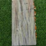 Women Floral Inspired Cotton Saree with Elegant Fashion Finish