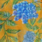 Women Silk Cotton Saree for Festive Collections with Timeless Shine