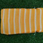 Women Silk Cotton Saree for Festive Collections with Timeless Shine