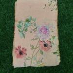 Women Silk Cotton Saree for Traditional Beauty with Rich Weaving