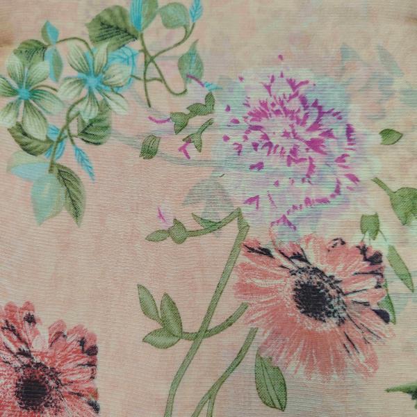 Women Silk Cotton Saree for Traditional Beauty with Rich Weaving