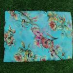 Women Silk Cotton Saree for Rich Traditional Fashion with Smooth Finish