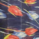 Women Silk Cotton Saree for Festive Dressing with Rich Traditional Texture