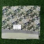 Women Silk Cotton Saree for Festive Charm with Classic Beauty