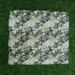 Women Silk Cotton Saree for Festive Charm with Classic Beauty
