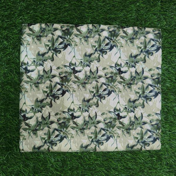 Women Silk Cotton Saree for Festive Charm with Classic Beauty