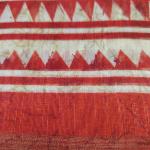 Women Casual Ethnic Cotton Saree with Elegant Finish