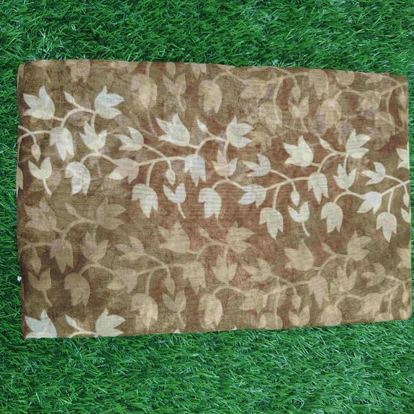 Women Silk Cotton Saree for Festive Gatherings with Rich Premium Finish