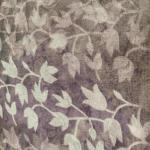 Women Silk Cotton Saree for Traditional Beauty with Smooth Elegance