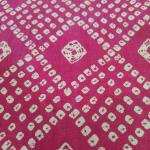 Women Beautiful Cotton Fancy Saree with Modern Grace