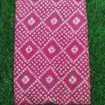 Women Beautiful Cotton Fancy Saree with Modern Grace