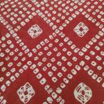 Women Elegant Fancy Cotton Saree with Stylish Pattern