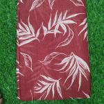 Women Ethnic Style Cotton Saree with Trendy Design