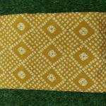 Women Traditional Cotton Fancy Saree with Elegant Print Work