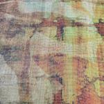 Women Trendy Cotton Saree with Soft Elegant Texture