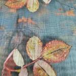 Women Soft Printed Cotton Fancy Saree for Comfortable Daily Wear