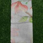 Women Modern Fancy Cotton Saree with Ethnic Charm