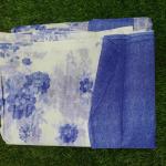 Women Trendy Printed Cotton Saree with Daily Wear Comfort