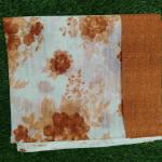 Women Traditional Printed Cotton Saree with Modern Finish
