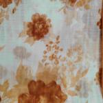 Women Traditional Printed Cotton Saree with Modern Finish