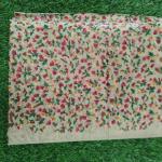 Women Fashionable Cotton Saree with Comfortable Wear