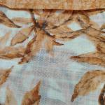 Women Ethnic Style Cotton Saree with Trendy Design
