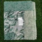 Women Traditional Cotton Fancy Saree with Trendy Look