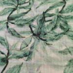 Women Traditional Cotton Fancy Saree with Trendy Look