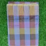 Women Silk Cotton Saree with Elegant Festive Finish