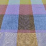 Women Silk Cotton Saree with Elegant Festive Finish