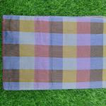 Women Silk Cotton Saree with Elegant Festive Finish
